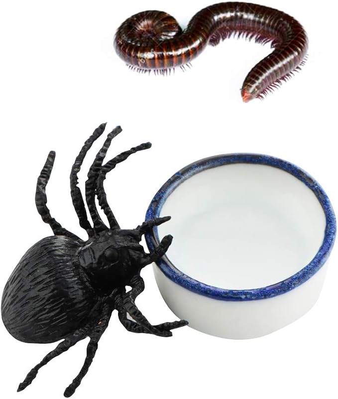 6 Pcs Spider Micro Water Bowl Mini Ceramic Dish for Spider Tarantula Millipede Tiny Reptile (Small: 0.86" D, 0.43" H)