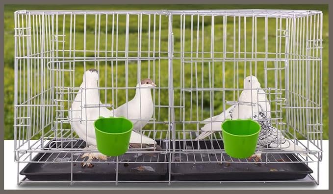 40 Pack Cage Cups Birds Feeders Seed Bowl Chicken Feeding Watering Dish Rabbit Water Food Hanging Wire Cages Box 8oz Coop Cups for Pet Parrot Parakeet Gamefowl Poultry Pigeon (Green)