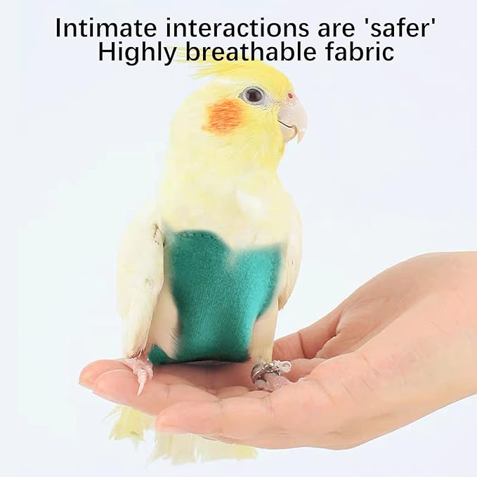 Bird Diapers Harness and Leash Parrot Flight Clothes Suit Bird Clothes Washable Parakeet Recovery Diapers for Small Medium Birds Parakeets Parrot Cockatiel Conure M