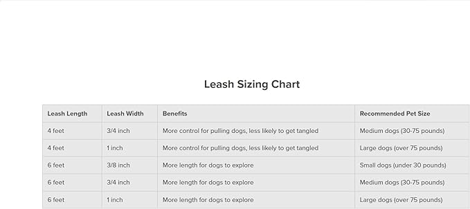 PetSafe Nylon Dog Leash - Strong, Durable, Traditional Style Leash with Easy to Use Bolt Snap - 3/4 in. x 6 ft., Raspberry Pink