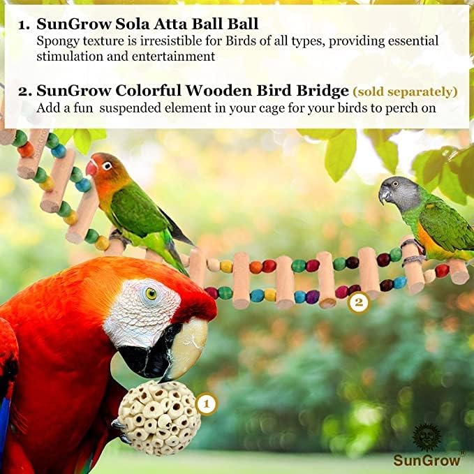 SunGrow Sola Atta Foraging Balls, 2”, White Soft Shred Parrot Chews, Bird Chewing Accessories for Conure, Budgie, Parakeet, Cockatiel, Rabbits, Hamsters, and Other Small Pets, 6 Pcs/Pack