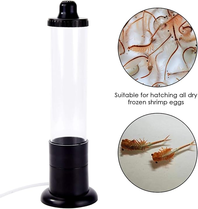 Brine Shrimp Eggs Hatcher Incubator Hatchery Artemia Eggs Hatchery Kit DIY Aquarium Fish Tank Hatch Tool