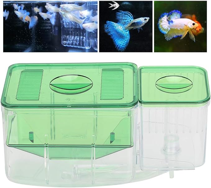 Fish Breeder Box Fish Hatchery Floating Fish Breeding Box with Removable Grating Fish Divider for Agressive Injured Pregnant Fishes