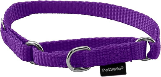 PetSafe Adjustable Martingale Collar - Only Tightens When Dogs Pull, Prevents Slipping Out - Helps with Strong Pullers, Increased Control - Alternative to Choke Collar - 3/8", Petite, Deep Purple