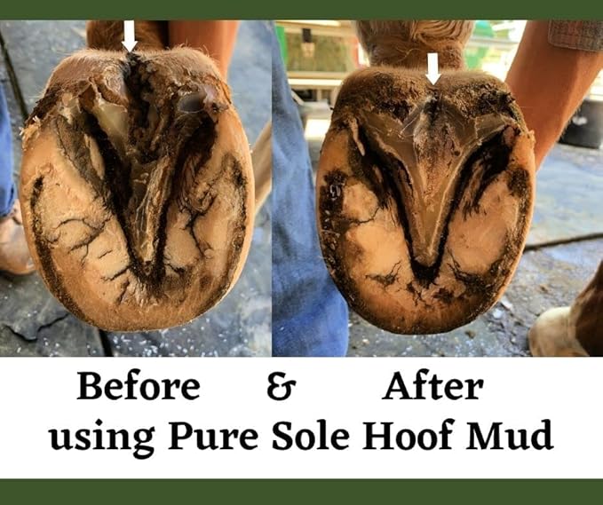 Thrush Treatment for Horses - Pure Sole Hoof Mud - Hoof Clay for Horses - A Horse Hoof Care Product for Thrush, White Line, and Hoof Wall Separation | Use Regularly for A Healthy Hoof - 32 oz.