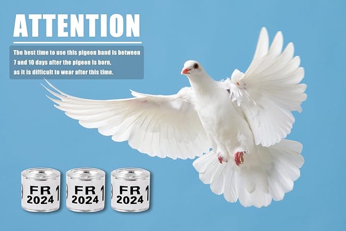 50Pcs Multicolor Aluminium Pigeon Leg Rings with 2024 FR Training Identify Birds Foot Ring 8mm Plastic Bird Leg Bands (White)