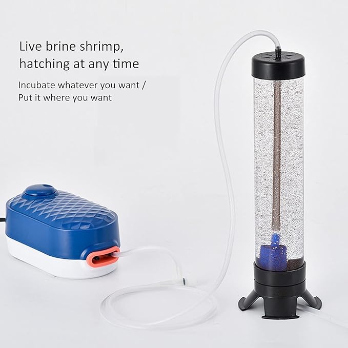 Brine Shrimp Hatchery Kit, Fish Tank Eggs Hatchery Kit Aquarium Eggs Tool Brine Shrimp Hatchery Kits for Constant Temperature Incubation in The Aquarium