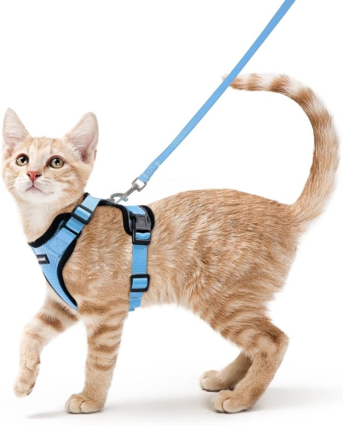 rabbitgoo Cat Harness and Leash for Walking, Escape Proof Soft Adjustable Vest Harnesses for Cats, Easy Control Breathable Reflective Strips Jacket, Light Blue, XS