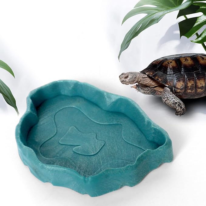 Terrarium Bowls Bowl Worm Dish for Small Plastic Water Bowl for Anoles Bearded Dragons Bowl Water Bowl Small Worm Dish for for Bearded Dragon