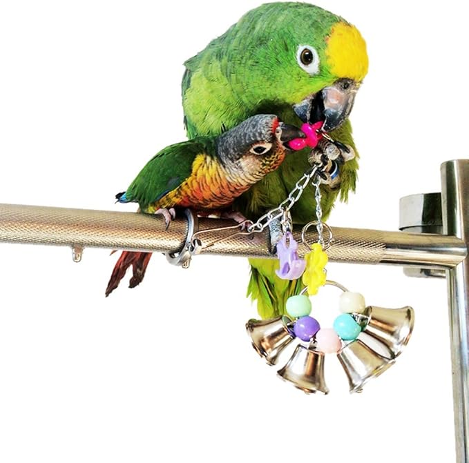 Hypeety Pet Bird Swing Hanging Chew Toy Colorful Ring Bell Parrot Parakeet Budgie Cockatiel Cage Hanging Accessories Acrylic with Bell Bird Toy