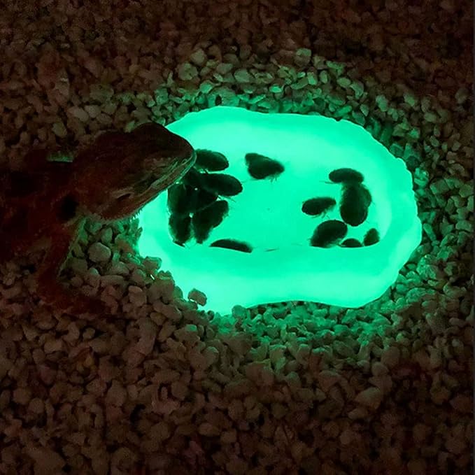 Reptile Water Dish,Resin Reptile Rock Food Feeder Bowl, Water and Food Bowl,Terrarium Decor for Leopard Gecko, Lizard,Spider,Turtle,Scorpion, Chameleon,Hermit Crabs (S, Green-Glow in Dark)