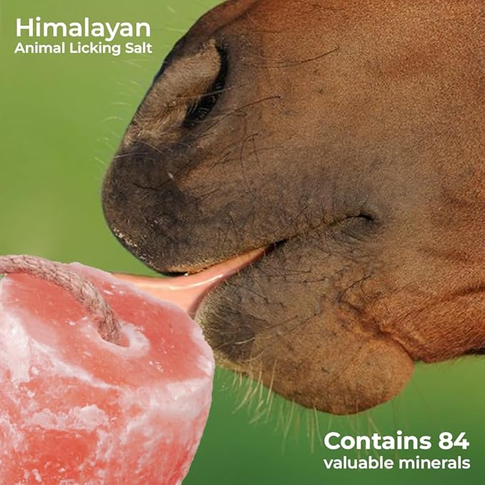 Himalayan Salt Lick for Horses - Deer Cows, Goats & Cattles on Rope | 6 Lbs Himalayan Licking Salt Block Packed with Minerals for Animals | Pack of 2 Salt Licks