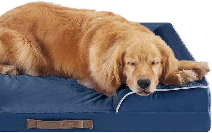 Friends Forever Orthopedic Dog Bed, Bolster Dog Bed with Memory Foam Dog Couch Sofa and Removable Washable Cover, Ally Navy, 28x23x6.5