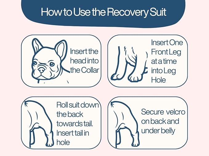 Dog Recovery Suit After Surgery - for Spay Neuter - with Washable Pads - Dog Onesie (Grey Small)