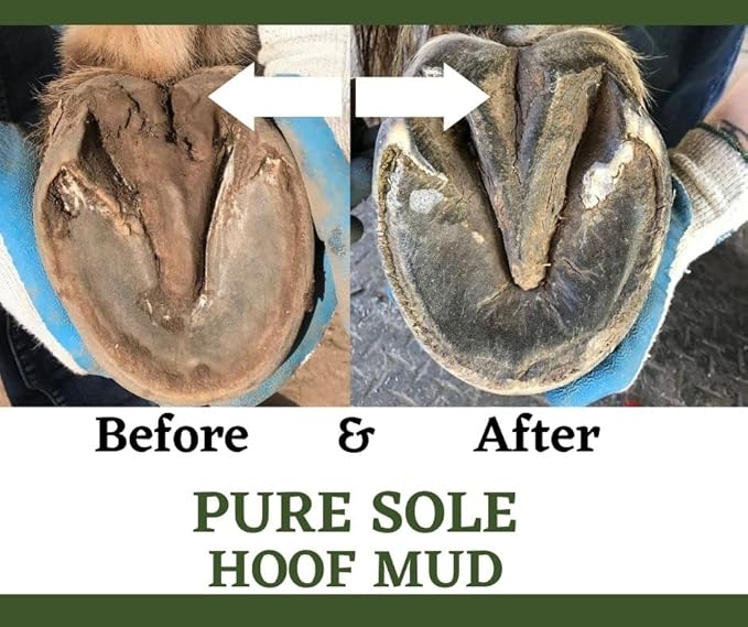 Thrush Treatment for Horses - Pure Sole Hoof Mud - Hoof Clay for Horses - A Horse Hoof Care Product for Thrush, White Line, and Hoof Wall Separation | Use Regularly for A Healthy Hoof. - 16 oz.