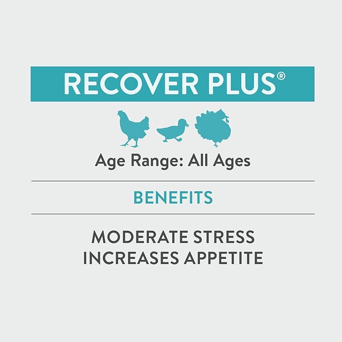 Recover Plus Moderate Stress Probiotic Water Supplement for Chickens with Electrolytes & Oregano, 8 oz