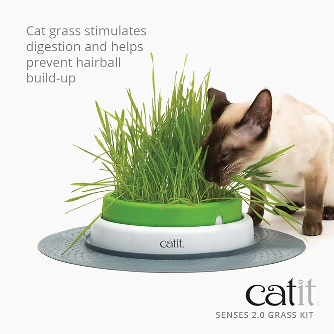Catit Senses 2.0 Grass Planter & Catit Senses 2.0 Cat Grass Kit (Set of 3)