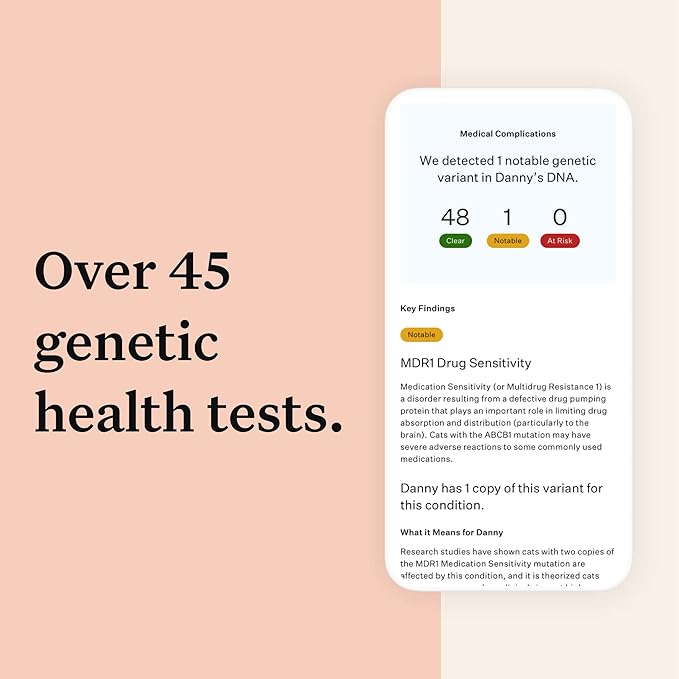 Wisdom Panel Complete: Comprehensive Cat DNA Test kit for 45 Health Genetic Health Conditions, 70+ Breeds and populations, 25+ Traits, Blood Type - 1 Pack