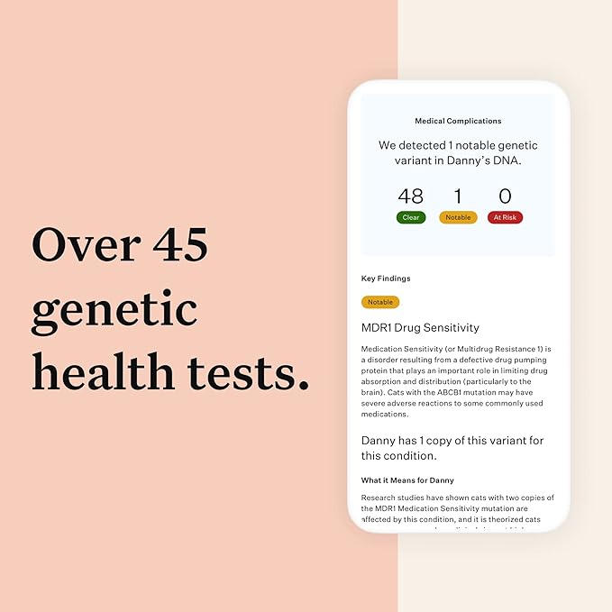 Wisdom Panel Complete: Comprehensive Cat DNA Test kit for 45 Health Genetic Health Conditions, 70+ Breeds and populations, 25+ Traits, Blood Type - 2 Pack