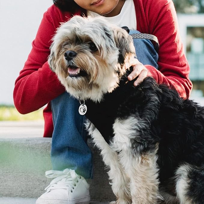 MYLUCKYTAG Stainless Steel QR Code Pet ID Tags Cat Tags - Pet Online Profile - Scan QR Receive Instant Pet Location Alert Email