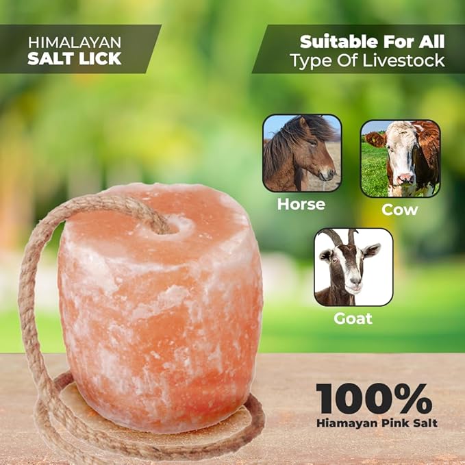 Himalayan Salt Lick for Horses - Deer Cows, Goats & Cattles on Rope | 6 Lbs Himalayan Licking Salt Block Packed with Minerals for Animals | Pack of 2 Salt Licks