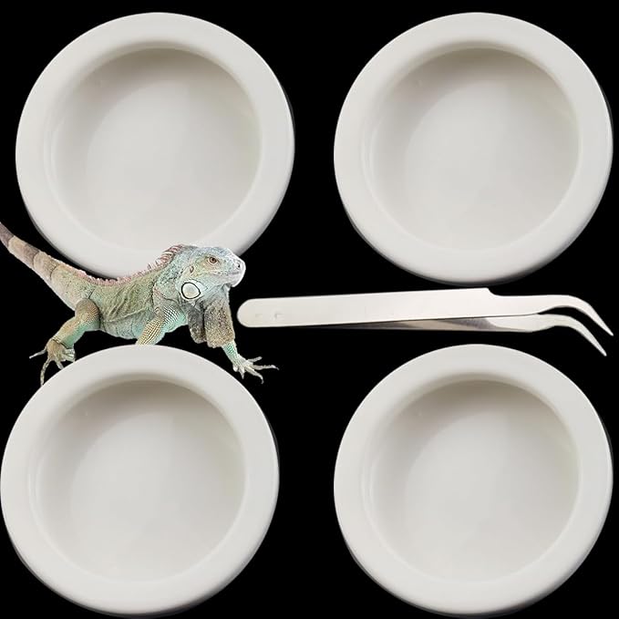 4PCS Reptile Water Food Bowl with Tong Terrarium Bowls Worm Dish Ceramic Pet Bowls Mini Reptile Food Ceramics Water Bowl Anti-Escape Mini Reptile Feeder for Lizard Anoles Bearded Dragons