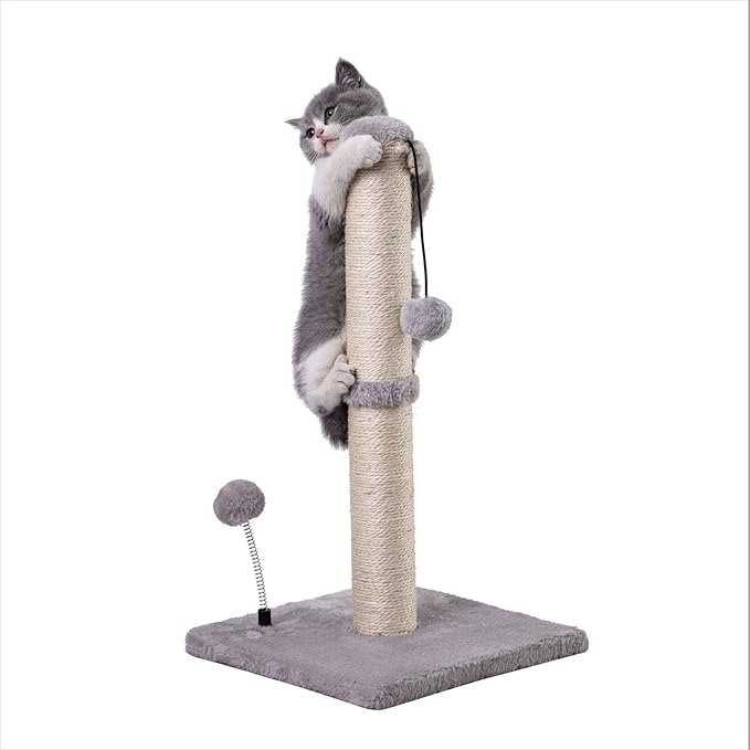 Cat Scratching Post Premium Basics Kitten Scratcher Sisal Scratch Posts with Hanging Ball 22" for Kittens or Smaller Cats (22 inches for Kitten, Gray)