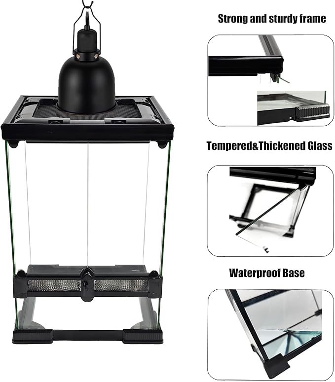 10 Gallon Reptile Glass Tank 12"x12"x18", Full Vision Reptile Terrarium, Vertical Reptile enclosure with Deep Base & Top Screen Ventilation, Suitable for Reptiles and Amphibians