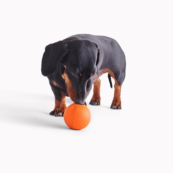 Beco Natural Rubber Outdoor Bouncy Play Ball for Dogs & Puppies, Fetch & Launcher Compatible, Bright Visible Orange