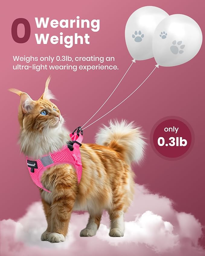 Cat Harness, Cat Leash and Harness Set for Walking Escape Proof, Harness for Small Cats/Small Dogs, Large Kitten/Puppy Harness and Leash, Harness for Cats S-XXL(Pink, XX-Large)