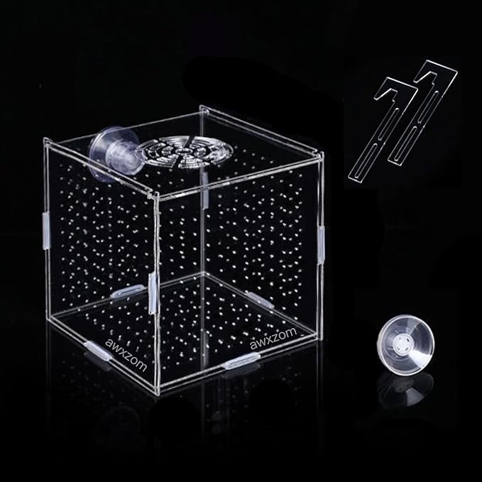 Acrylic fish breeding box, Acrylic Fish Isolation Box, fish separator for aquarium, Hatchery Incubator with Suction Cups for Small Baby Fishes Shrimp Clownfish Guppy (3.9 * 3.9 * 3.9inch)