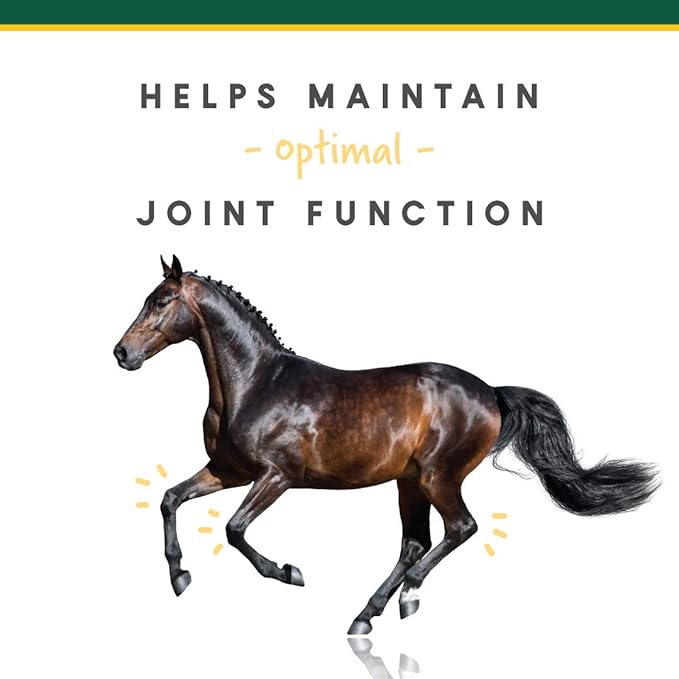 Manna Pro Corta-FLX Equine Joint Supplement | Horse Supplement for Healthy Joints | Quick & Effective Nourishment to Joints formulated with Vitamins and Minerals | 12 LB Pellet