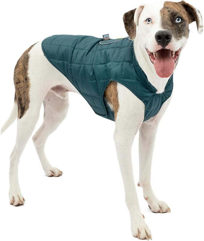 Kurgo Loft Dog Jacket, Reversible Dog Coat, Wear with Harness or Sweater, Water Resistant, Reflective, Winter Coat for Large Dogs (Ink Blue, XL)