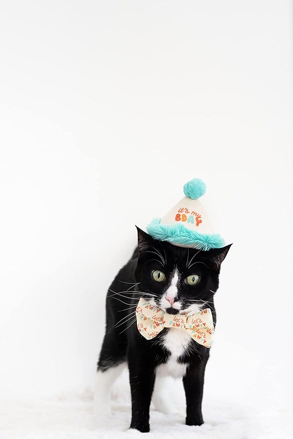 Pearhead It's My Bday Cat Hat and Let's Pawty Bowtie Set, Happy Birthday Cat Outfit, Pet Owner Gift