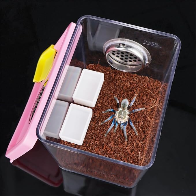 25 Pcs Spider Micro Water Bowl, Mini Plastic Dish Tarantula Tiny Reptile Bowl for Spider Tarantula Hermit Crab Millipede Insect (White)