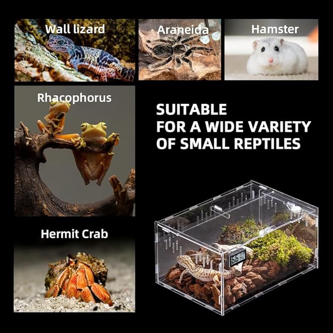 Reptile Terrarium Breeding Tank Acrylic Box (Spider, Tarantula, Snake, Lizard) Small Animal Viewing Box. 11.81 "x9.7 x7.6 (Type A)