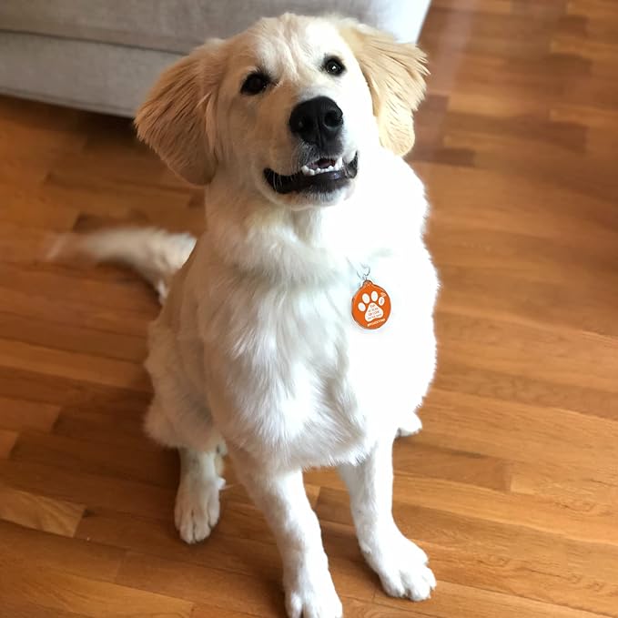 MYLUCKYTAG NFC&QR Code Personalized Dog Cat Tag, Online Pet Profile, Scan QR Receive Instant Pet Location Alert Email