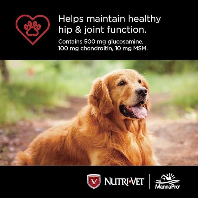 Nutri-Vet Hip & Joint Chewable Dog Supplements | Formulated with Glucosamine & Chondroitin for Dogs | 180 Count