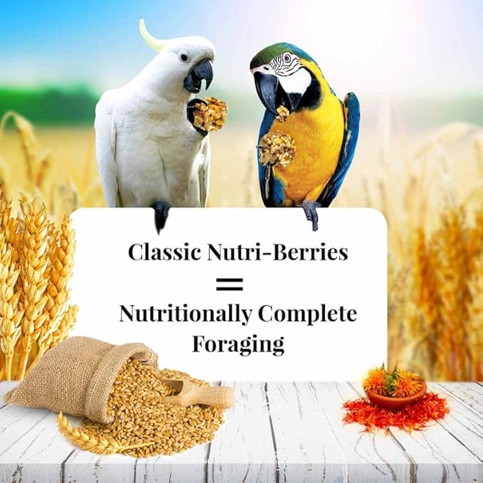 LAFEBER'S Classic Nutri-Berries Pet Bird Food, Made with Non-GMO and Human-Grade Ingredients, for Macaws and Cockatoos (10 oz Pack of 2)