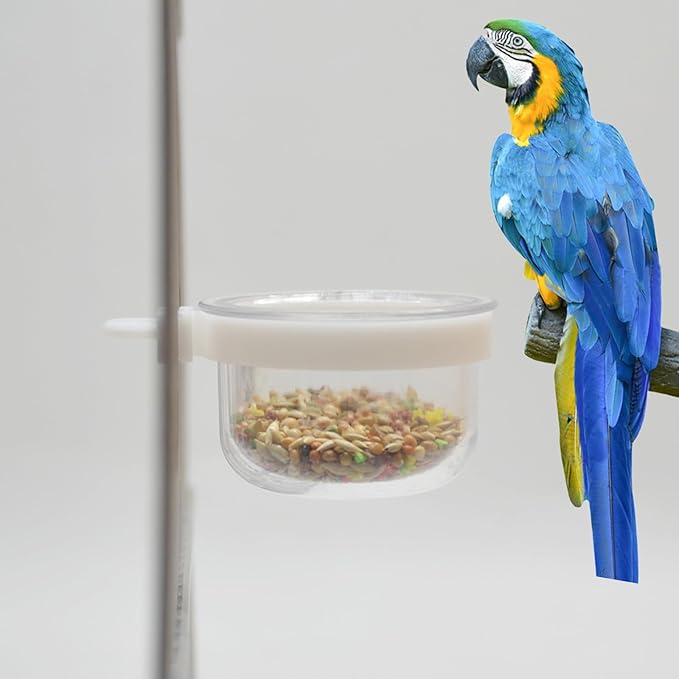 6 Pcs Small Bird Plastic Food Cup, Parrot Feeders Water Cage Bowls Convenient Hanging Food Feeder Box for Bird Parrot Cockatiel Small Animal