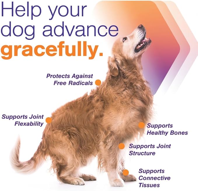 Advanced Joint Support Supplement for Dogs - Hip and Joint Support - Dog Joint Supplement - Hip and Joint Supplement Dogs - 120 Soft Chews for Large Dogs (by Virbac)