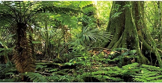 AWERT 60x24 inches Forest Terrarium Background Stone Green Huge Tree Reptile Habitat Background Tropical Rainforest Aquarium Background Durable Polyester Background