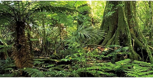AWERT 36x20 inches Forest Terrarium Background Stone Green Huge Tree Reptile Habitat Background Tropical Rainforest Aquarium Background Durable Polyester Background