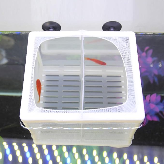 Senzeal Aquarium Fish Breeder Box Fish Fry Hatchery Incubator Net Nylon Isolation Mesh with 3pcs Pipette(Small)