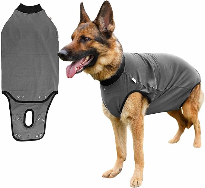 BellyGuard Recovery Suit for Dogs, After Surgery Dog Recovery Suit Female and Male, Soft Cotton Dog Surgery Suit Female Spay, Dog Surgical Recovery Suit Male Neuter, Comfy Surgical Onesie for Dogs.