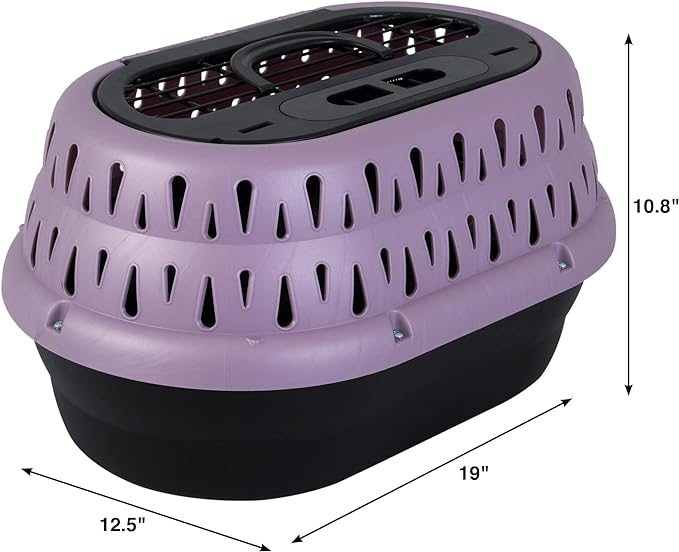 Petmate Top Load Pet Carrier for Cats, 19 Inches Long, Holds Pets Up To 10 Pounds, Purple