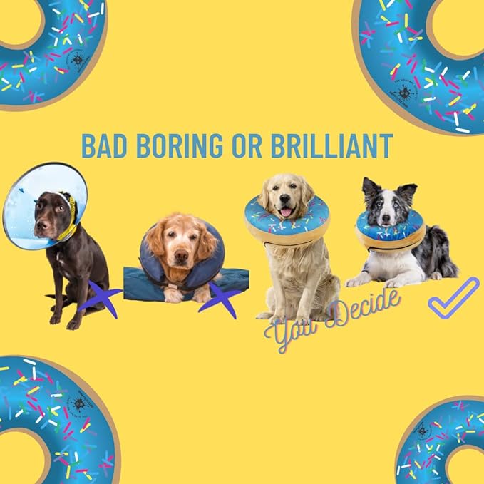 Dog Donut Collar | Great Alternative to a Traditional Dog Cone or a Soft Dog Cone Collar | Our Inflatable Dog Cone is an Excellent Cone for Dogs after Surgery | Dog Cones for Large Dogs (Blue)
