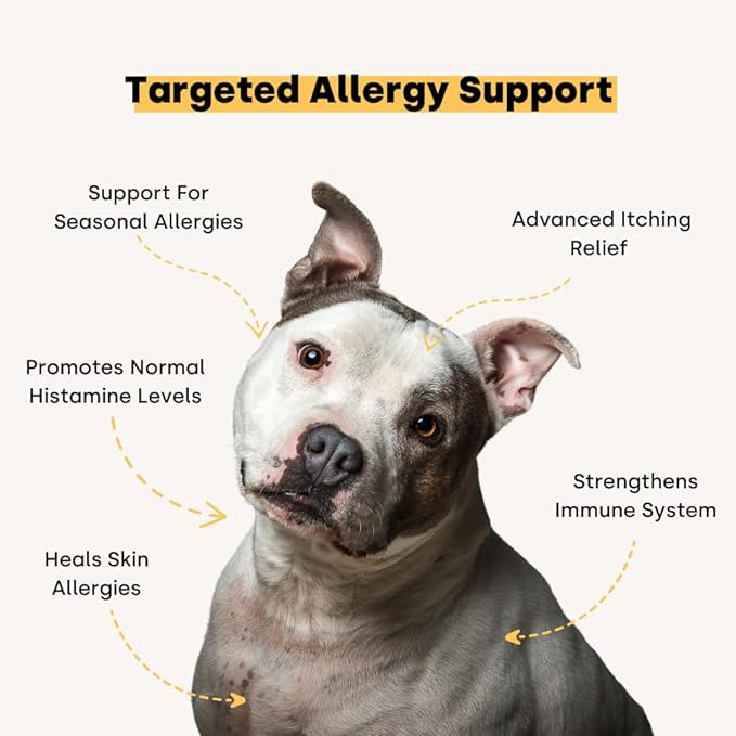 Kayode Itch & Allergy Chews - Natural Allergy Relief for Dogs. Premium Colostrum for Dogs, Bee Pollen for Dog Allergies. Alaskan Salmon Oil. Natural Itch Relief for Dogs. 90 Dog Allergy Chews.