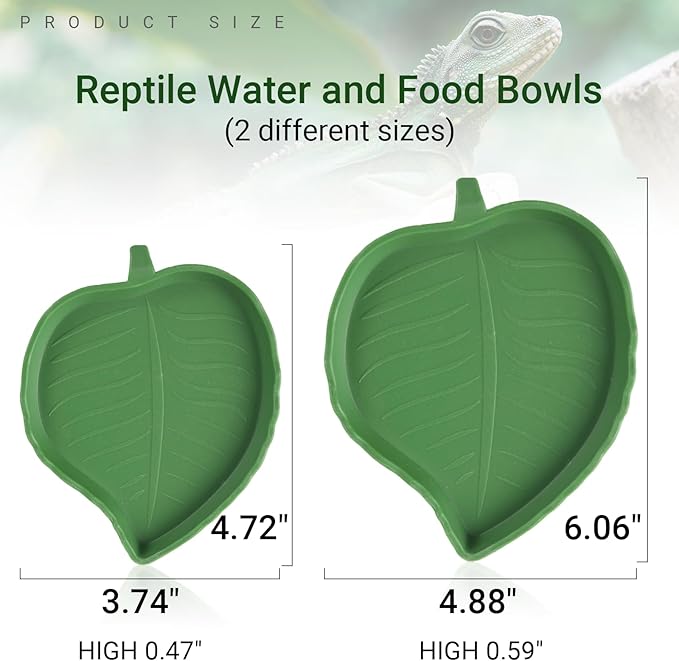 CalPalmy 2 Pack Reptile Water and Food Bowls, Leaf Food Bowl Plate Water Dish for Lizards, Young Bearded Dragons, Small Snakes and More Reptiles