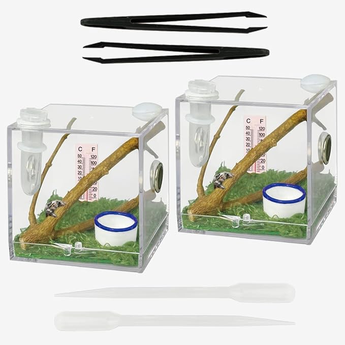 2 Pack Jumping Spider Enclosure,Tarantula Enclosure with Tongs and Droppers,Praying Mantis Eggs to Hatch Box for Small Animals Such As Tarantula,Spiders,Snails,Crickets,Praying Mantis and Ants